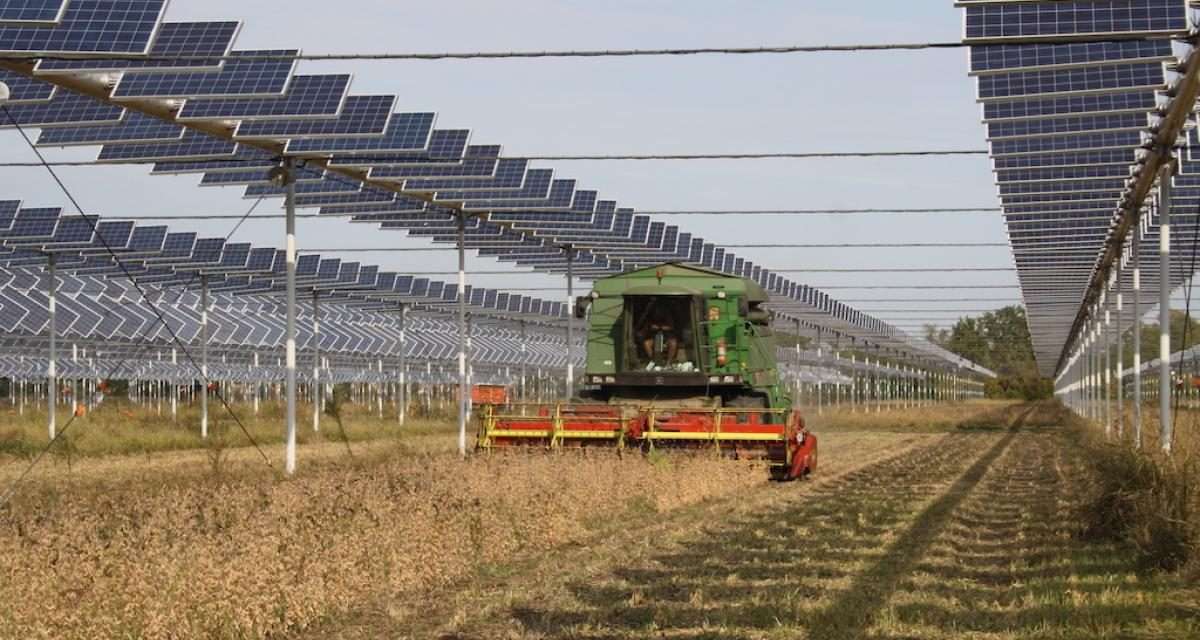 Rinnovabili: l’agrovoltaico è il futuro