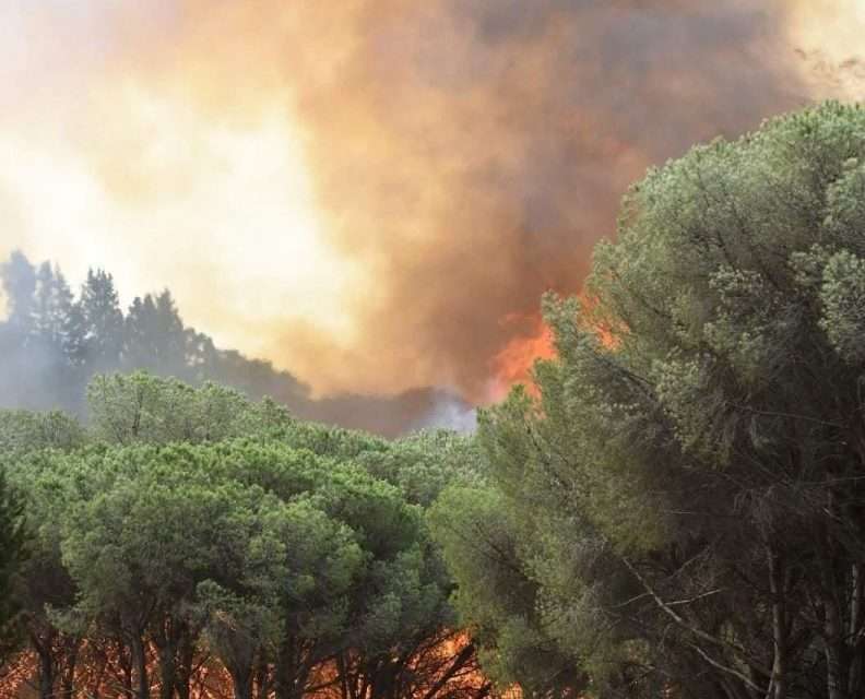 Caldo record scuote il sud, Sicilia e Calabria le più colpite. Nei prossimi giorni l’ondata al Nord